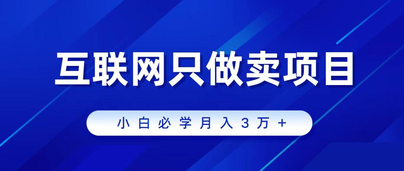 (9623期)互联网的尽头就是卖项目，被割过韭菜的兄弟们必看！轻松月入三万以上！-皮皮网创