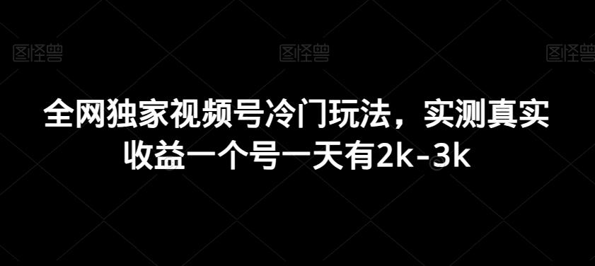 全网独家视频号冷门玩法，实测真实收益一个号一天有2k-3k-皮皮网创