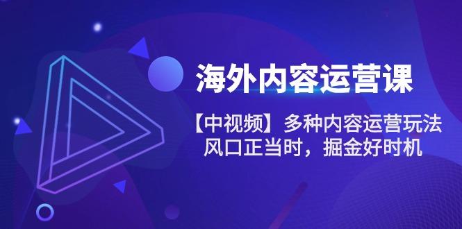 海外内容 运营课【中视频】多种内容运营玩法 风口正当时 掘金好时机-101节-皮皮网创