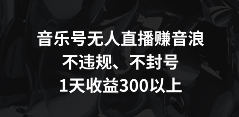 音乐号无人直播赚音浪，不违规、不封号，1天收益300+【揭秘】-皮皮网创