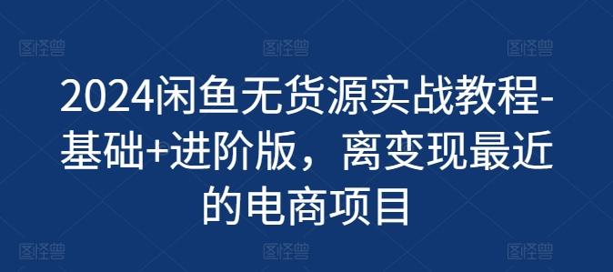 2024闲鱼无货源实战教程-基础+进阶版，离变现最近的电商项目-皮皮网创