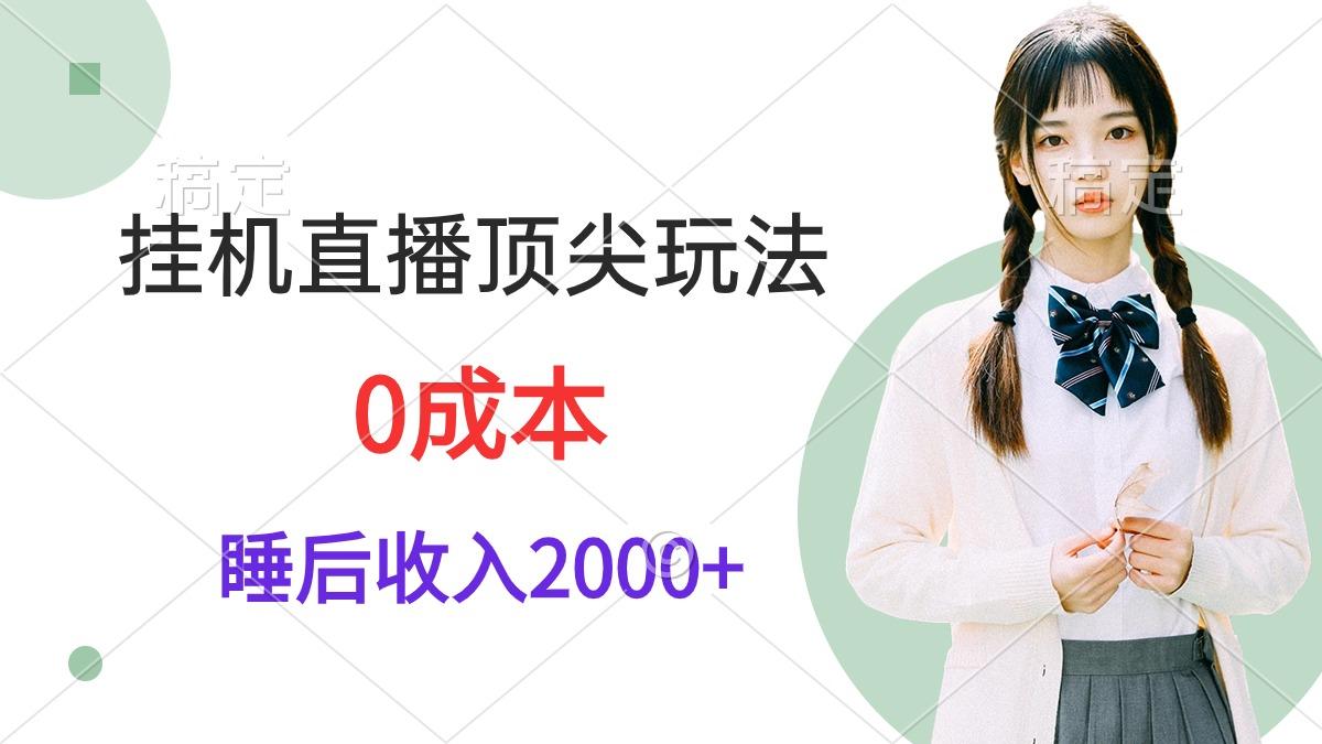 (9715期)挂机直播顶尖玩法，睡后日收入2000+、0成本，视频教学-皮皮网创