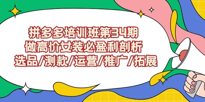 (9333期)拼多多培训班第34期：做高价女装必盈利剖析  选品/测款/运营/推广/拓展-皮皮网创