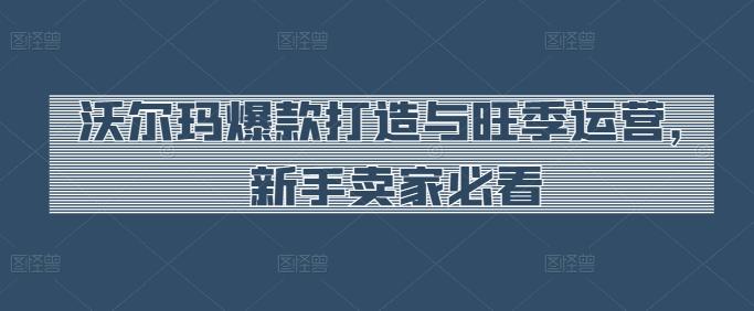沃尔玛爆款打造与旺季运营，新手卖家必看-皮皮网创