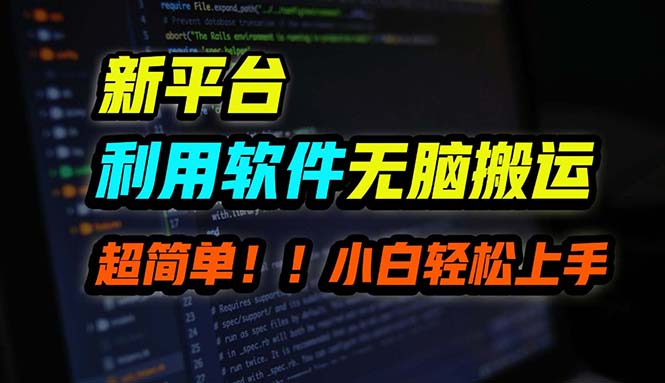 B站平台用软件无脑搬运，月赚10000+，小白也能轻松上手-皮皮网创