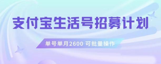支付宝生活号作者招募计划，单号单月2600，可批量去做，工作室一人一个月轻松1w+【揭秘】-皮皮网创