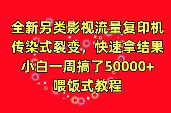 全新另类影视流量复印机，传染式裂变，快速拿结果，小白一周搞了50000+，喂饭式教程【揭秘】-皮皮网创