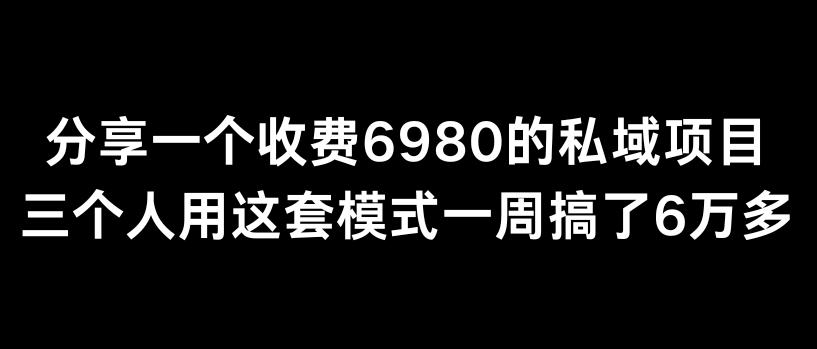 分享一个外面卖6980的私域项目三个人用这套模式一周搞了6万多【揭秘】-皮皮网创