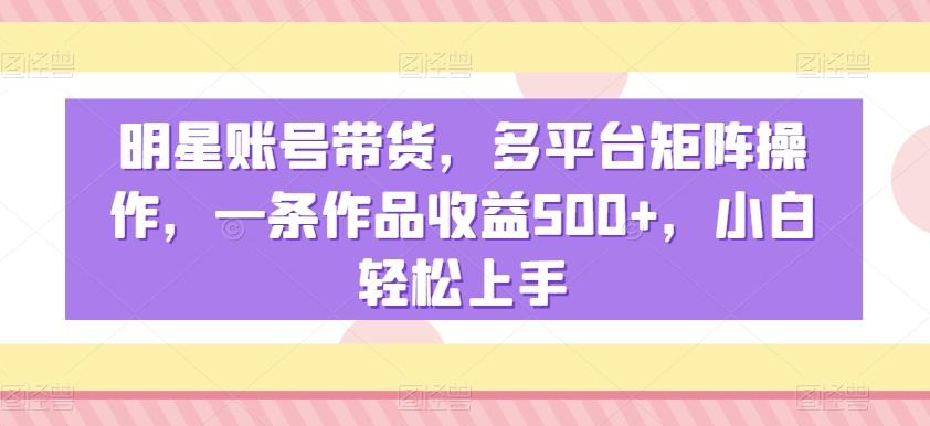 明星账号带货，多平台矩阵操作，一条作品收益500+，小白轻松上手【揭秘】-皮皮网创