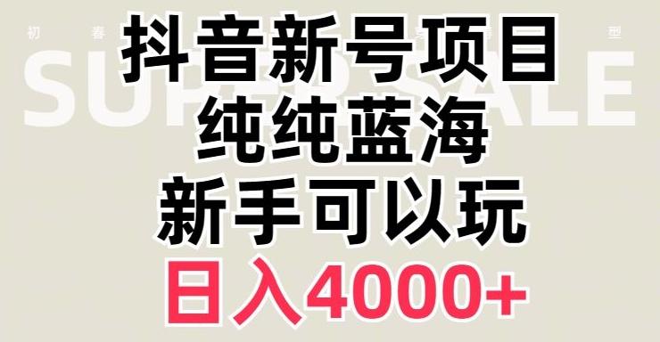 抖音蓝海赛道，必须是新账号，日入4000+【揭秘】-皮皮网创
