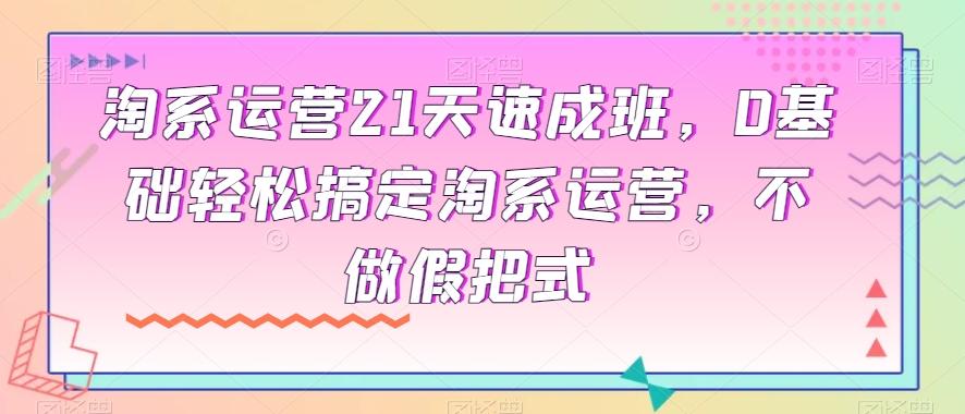 淘系运营21天速成班，0基础轻松搞定淘系运营，不做假把式-皮皮网创
