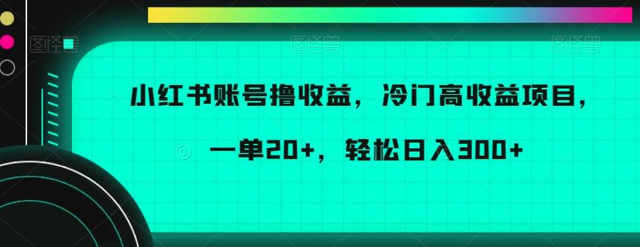 小红书账号撸收益，冷门高收益项目，一单20+，轻松日入300+【揭秘】-皮皮网创