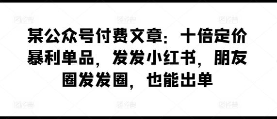 某公众号付费文章：十倍定价暴利单品，发发小红书，朋友圈发发圈，也能出单-皮皮网创