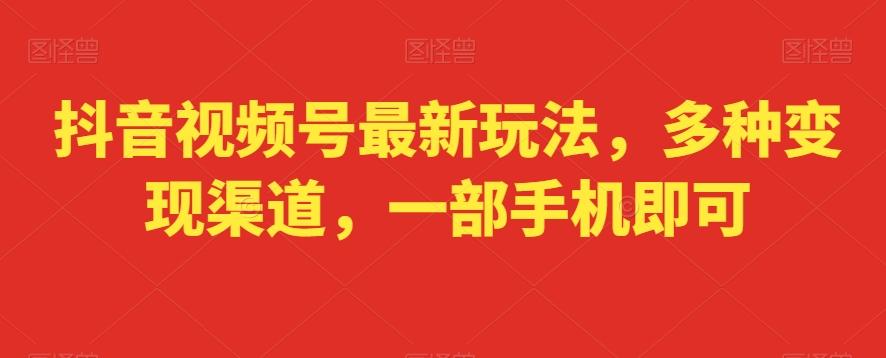 抖音视频号最新玩法，多种变现渠道，一部手机即可-皮皮网创