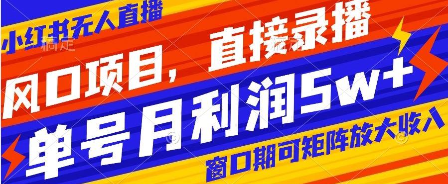 风口项目，小红书无人直播带货，直接录播，可矩阵，月入5w+【揭秘】-皮皮网创