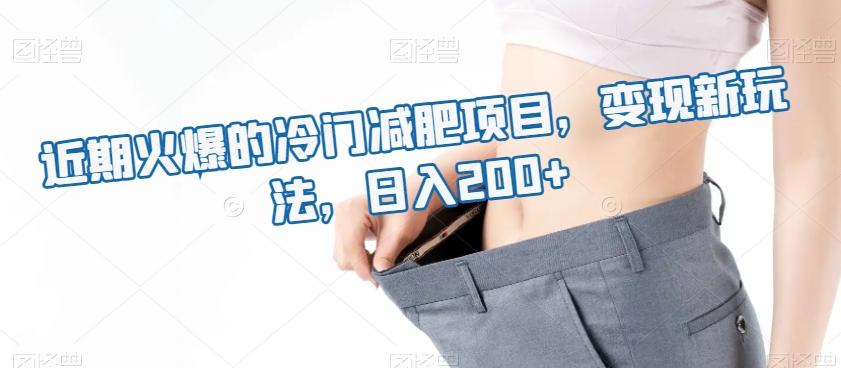 近期火爆的冷门减肥项目，变现新玩法，日入200+-皮皮网创