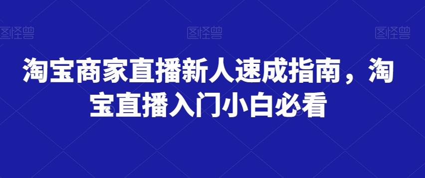 淘宝商家直播新人速成指南，淘宝直播入门小白必看-皮皮网创