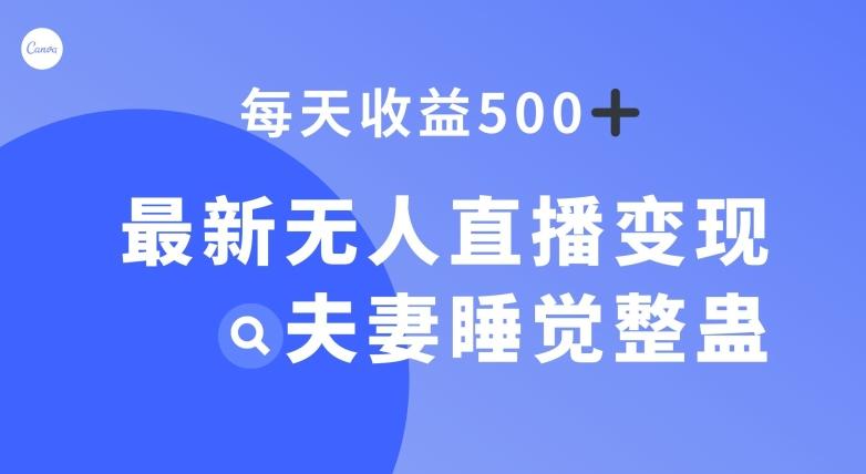 最新无人直播变现，夫妻睡觉整蛊，每天躺赚500+【揭秘】-皮皮网创
