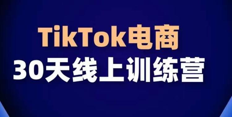 TikTok电商带货30天线上课，不可错过的全球流量洼地！-皮皮网创