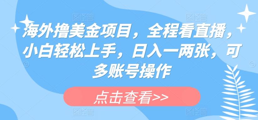 海外撸美金项目，全程看直播，小白轻松上手，日入一两张，可多账号操作【揭秘】-皮皮网创