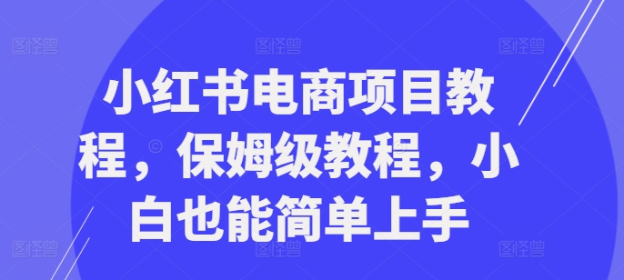 小红书电商项目教程，保姆级教程，小白也能简单上手-皮皮网创