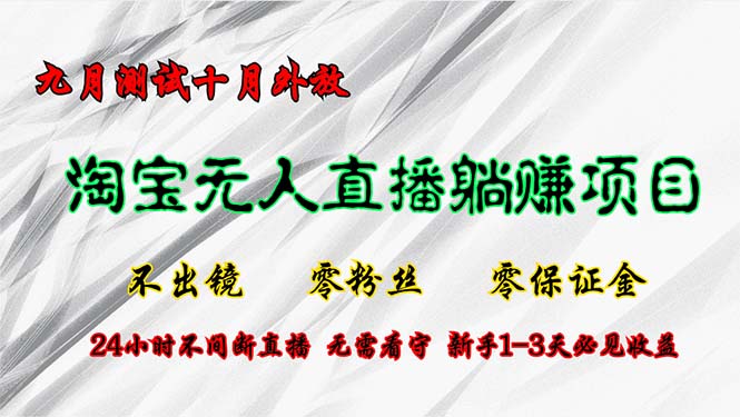 淘宝无人直播最新玩法，九月测试十月外放，不出镜零粉丝零保证金，24小…-皮皮网创