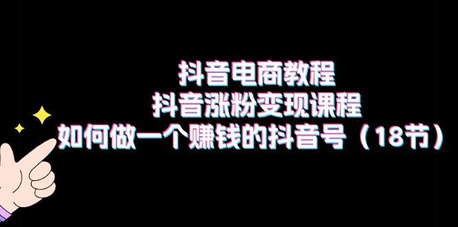 抖音电商教程：抖音涨粉变现课程：如何做一个赚钱的抖音号(18节-皮皮网创