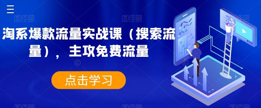 淘系爆款流量实战课（搜索流量），主攻免费流量-皮皮网创