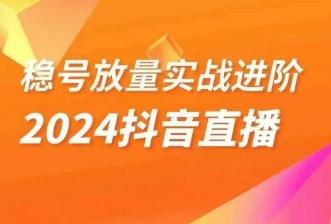 稳号放量实战进阶—2024抖音直播，直播间精细化运营的几大步骤-皮皮网创