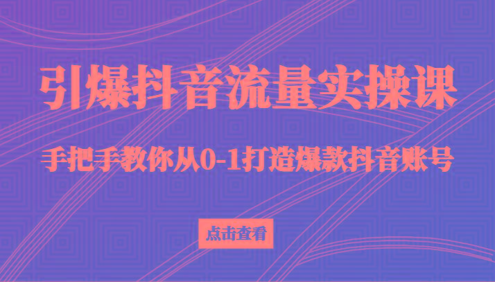 引爆抖音流量实操课，手把手教你从0-1打造爆款抖音账号(27节课)-皮皮网创