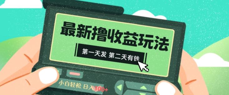 2024最新撸视频收益玩法，第一天发，第二天就有钱-皮皮网创