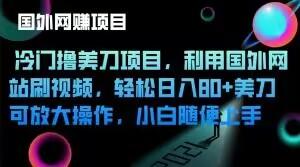 冷门撸美刀项目，利用国外网站刷视频，轻松日入80+美刀，可放大操作，小白随便上手-皮皮网创