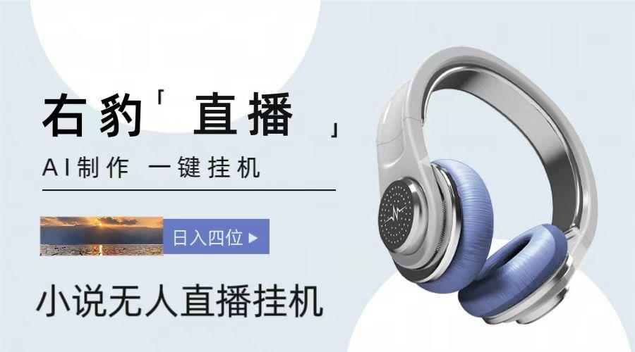 右豹小说无人直播挂机吸金项目，简单易行收益稳定， 月入1000+-皮皮网创