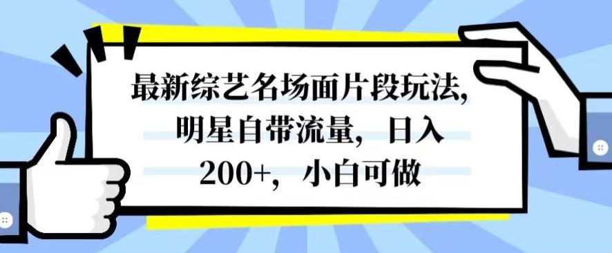 最新综艺名场面片段玩法，明星自带流量，日入200+，小白可做【揭秘】-皮皮网创