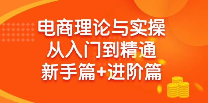 (9576期)电商理论与实操从入门到精通 新手篇+进阶篇-皮皮网创