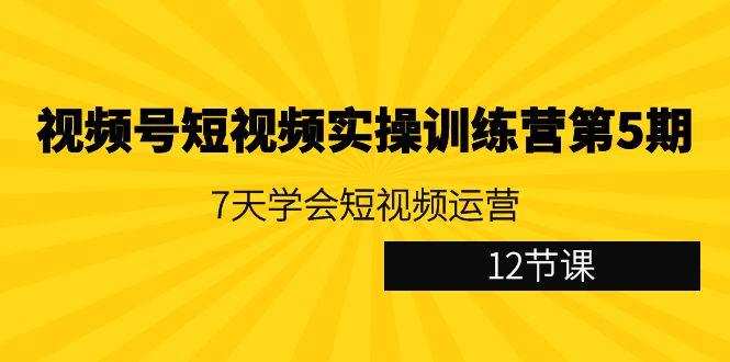 视频号短视频实操训练营第5期：7天学会短视频运营(12节课)-皮皮网创