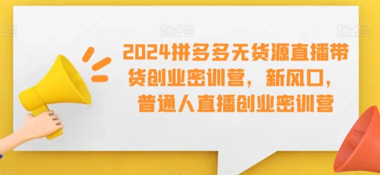 2024拼多多无货源直播带货创业密训营，新风口，普通人直播创业密训营-皮皮网创