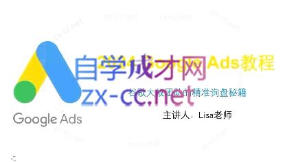 谷歌大叔·2024Google Ads教程-皮皮网创