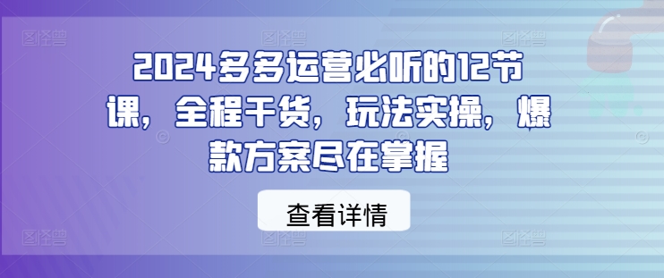 2024多多运营必听的12节课，全程干货，玩法实操，爆款方案尽在掌握-皮皮网创