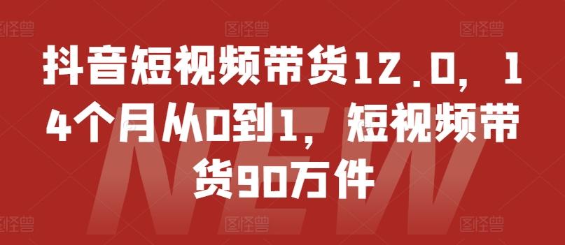 抖音短视频带货12.0，14个月从0到1，短视频带货90万件-皮皮网创