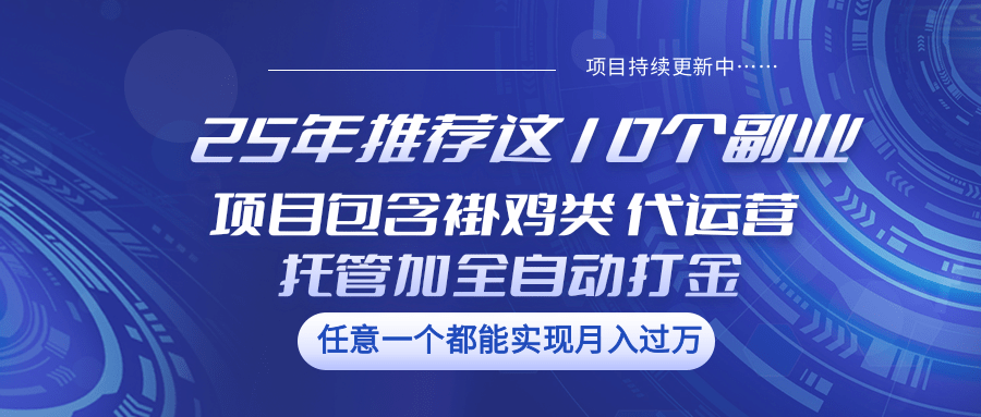 图片[1]-25年推荐这10个副业 项目包含褂鸡类、代运营托管类、全自动打金类-皮皮网创