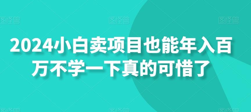 2024小白卖项目也能年入百万不学一下真的可惜了-皮皮网创