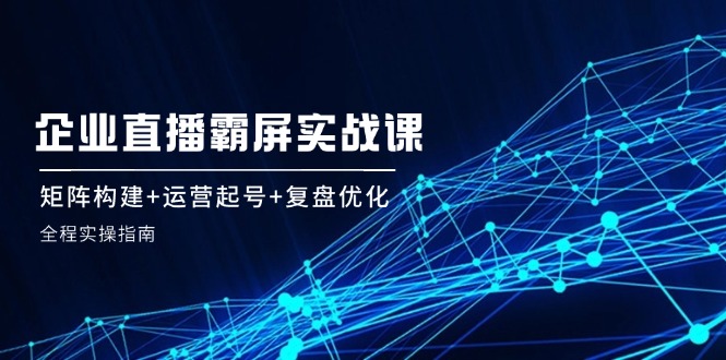 企 业 直 播 霸 屏实战课：矩阵构建+运营起号+复盘优化，全程实操指南-皮皮网创