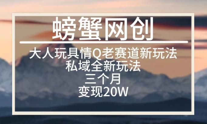 大人玩具情Q用品赛道私域全新玩法，三个月变现20W，老项目新思路【揭秘】-皮皮网创