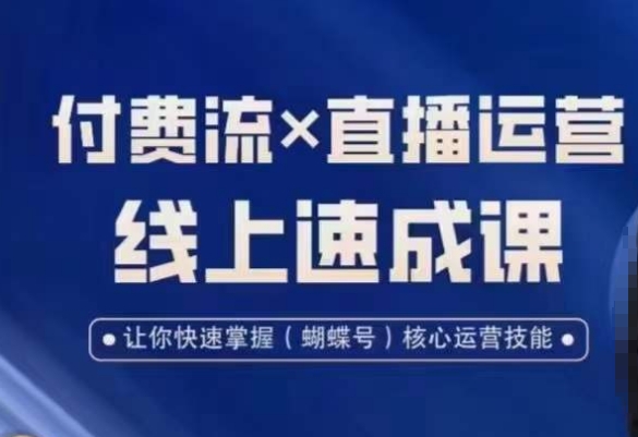 视频号付费流实操课程，付费流✖️直播运营速成课，让你快速掌握视频号核心运营技能-皮皮网创