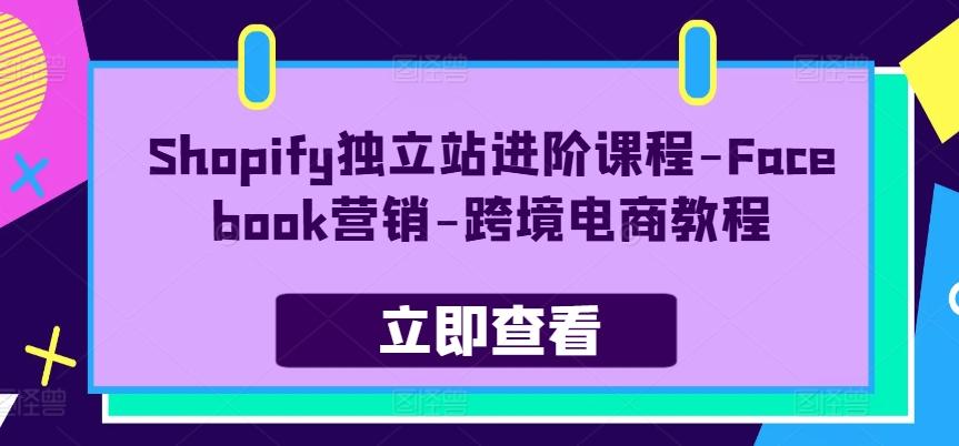 Shopify独立站进阶课程-Facebook营销-跨境电商教程-皮皮网创