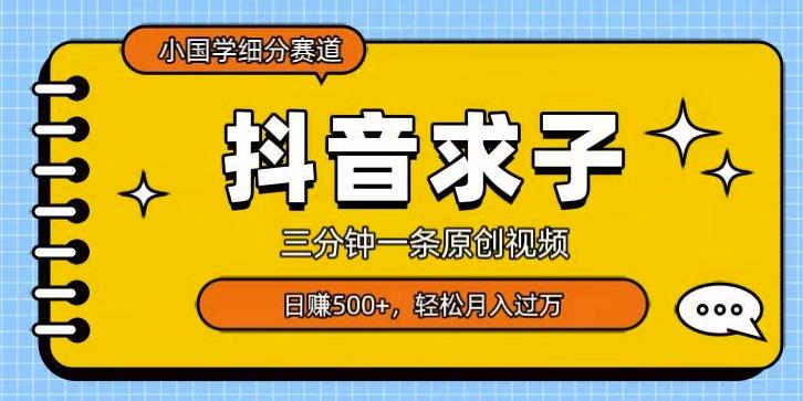 小国学细分赛道，三分钟一条原创视频，日赚500+，可矩阵复制-皮皮网创