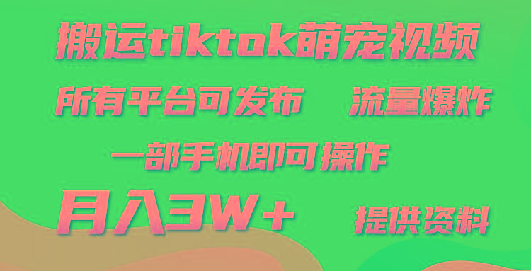 (9618期)搬运Tiktok萌宠类视频，一部手机即可。所有短视频平台均可操作，月入3W+-皮皮网创