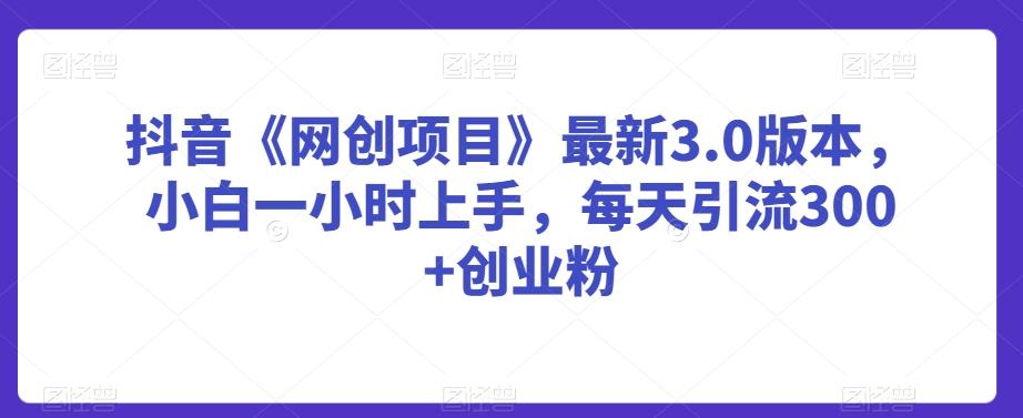 抖音《网创项目》最新3.0版本，小白一小时上手，每天引流300+创业粉【揭秘】-皮皮网创