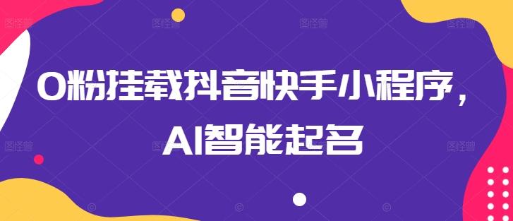 0粉挂载抖音快手小程序，AI智能起名-皮皮网创
